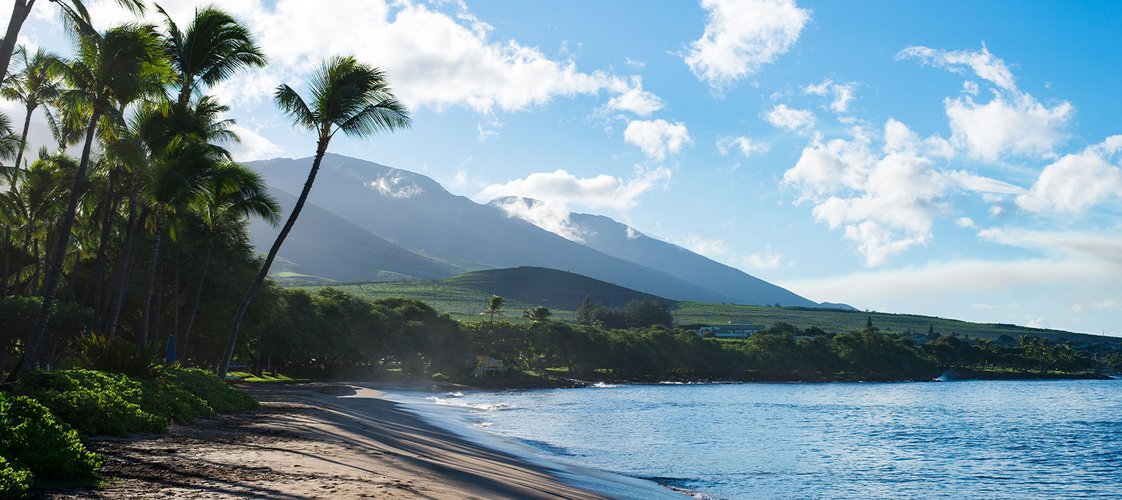 The image depicts a serene beach scene with palm trees, a clear blue sky, mountains in the background, and a sandy shoreline under a partly cloudy sky.